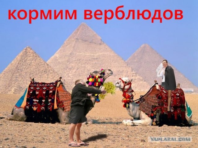 Фор фотожаба