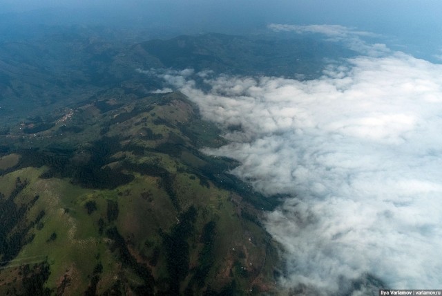 Уганда: самая настоящая Африка с гориллами и носорогами!