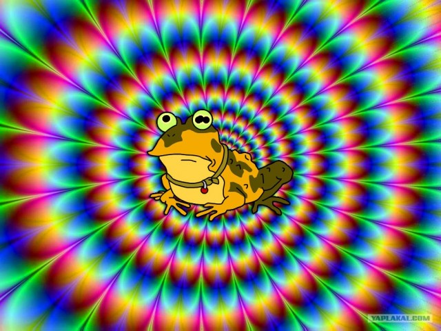 Ему бы в покер играть