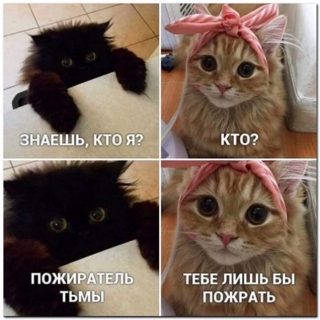 Баянисто-небаянистый юмор 15.05.21