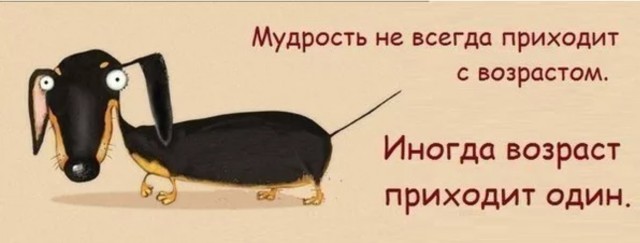 Бредзона 05.06.21
