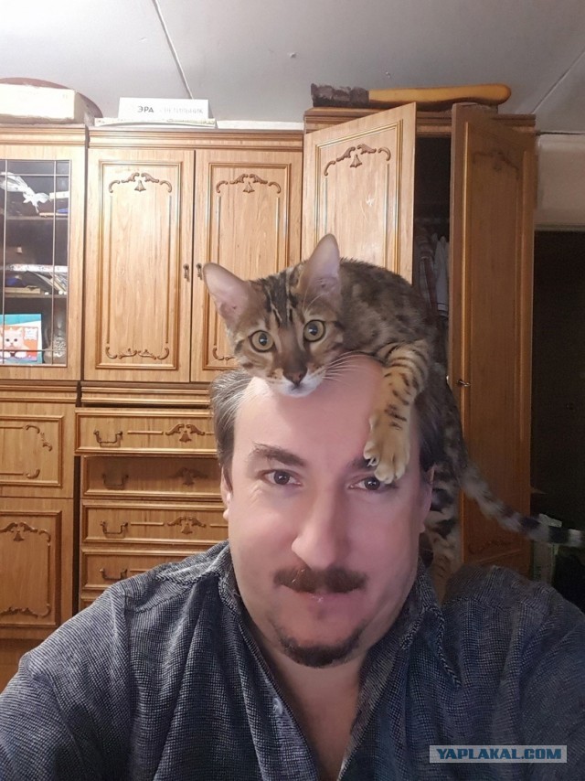 Котовторник 05.10.21 г