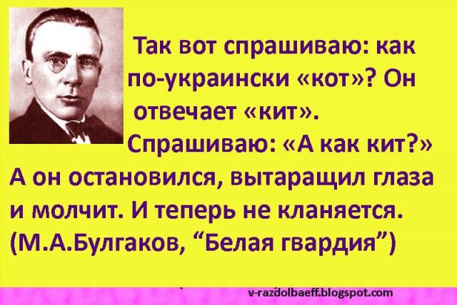 Кот по украински