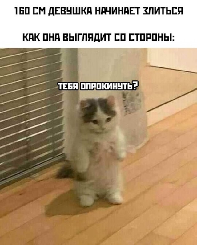 Картинки и мемы для настроения 18.10.2021