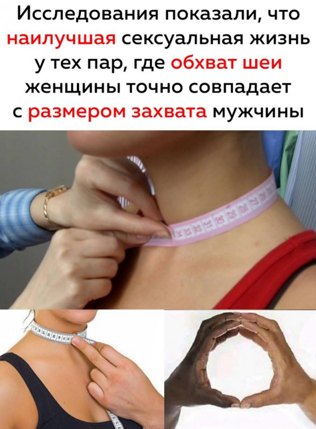 Весёлый полтишок 05.11