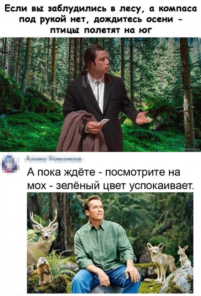 Так себе картинки 17.11.21