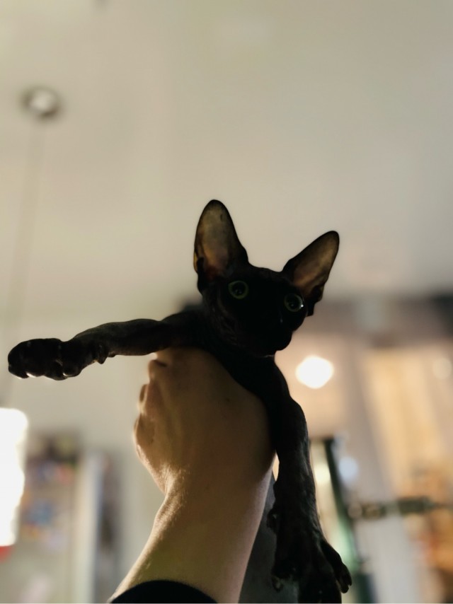 Вторник. Котэ. Пора