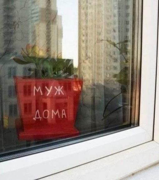 Чуток картинок 16.02.22