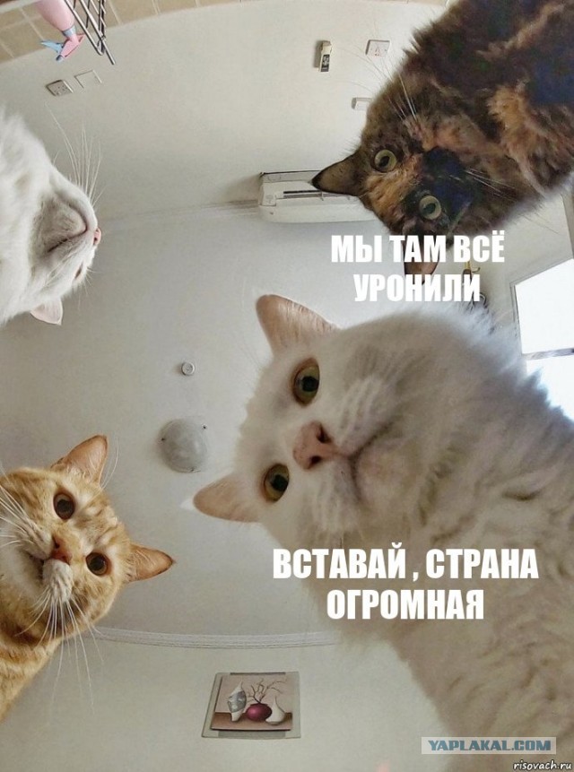 ❗️Высокий уровень террористической опасности введут в Курской области с 11 апреля