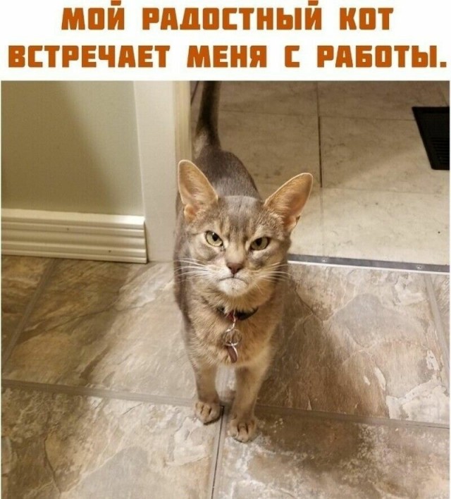 Весёлые картинки 13.04.2022