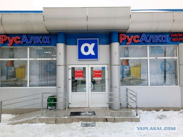 Русалка в деле покушения на Соловьева
