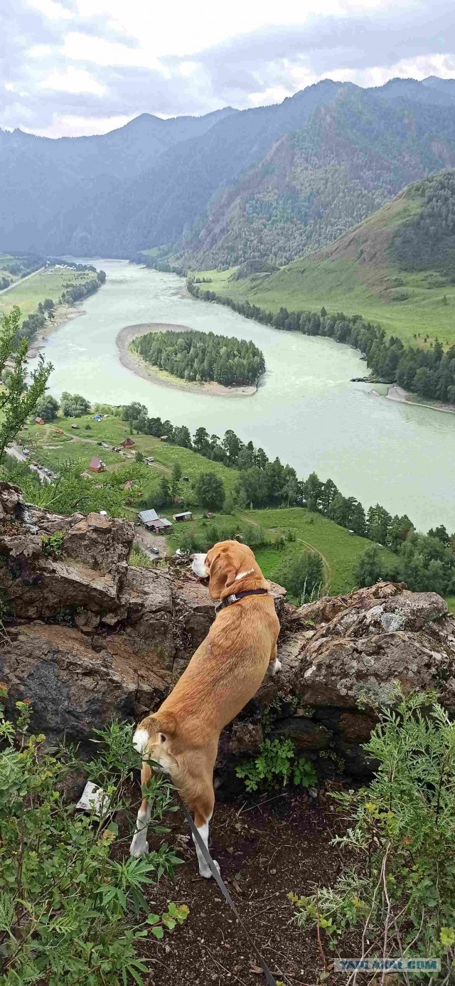 Катунь