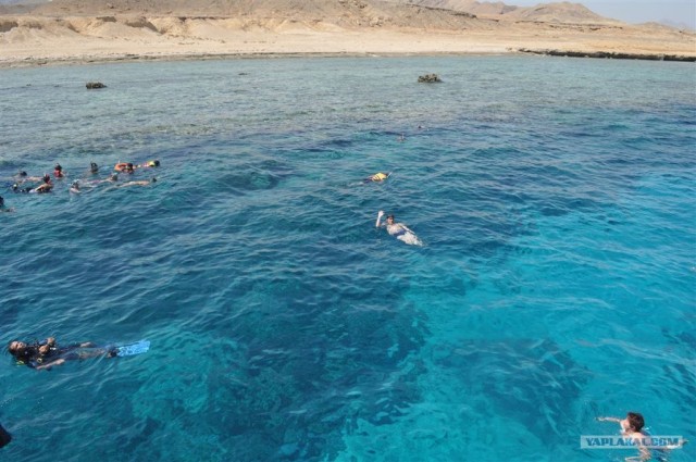 Как я ездил в Египет