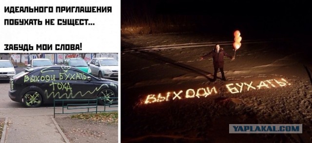 Весёлый полтишок 08.11.22