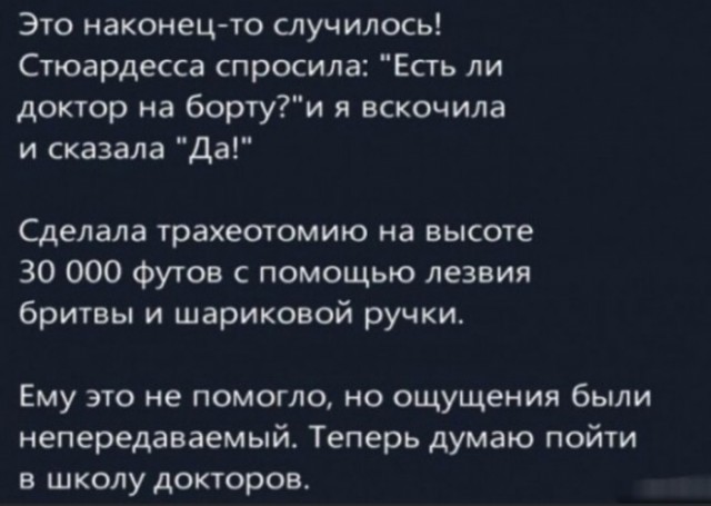 Весёлый полтишок 08.11.22