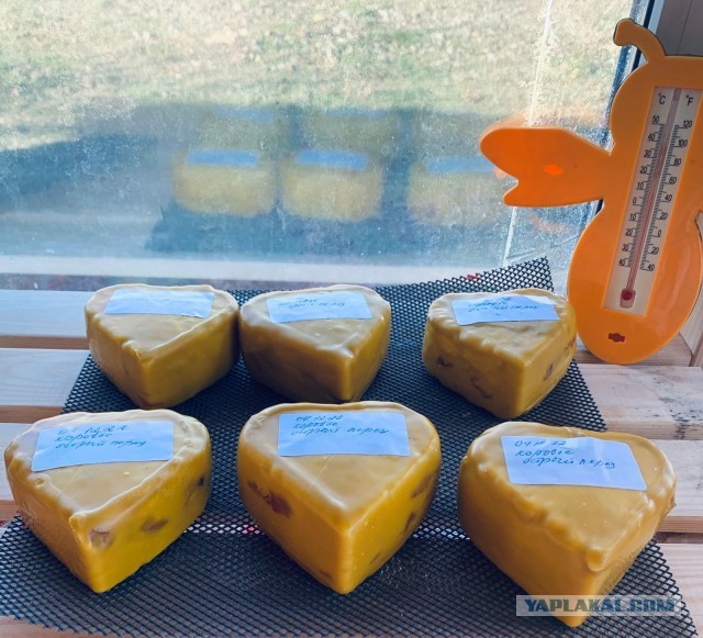 Варим качотту дома. Самый простой рецепт