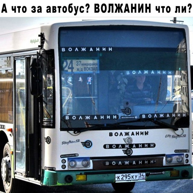 Весёлый полтишок 05.12.22