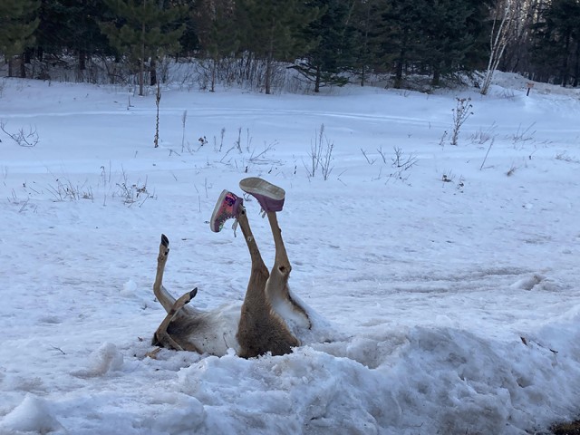 Немного аморального юмора