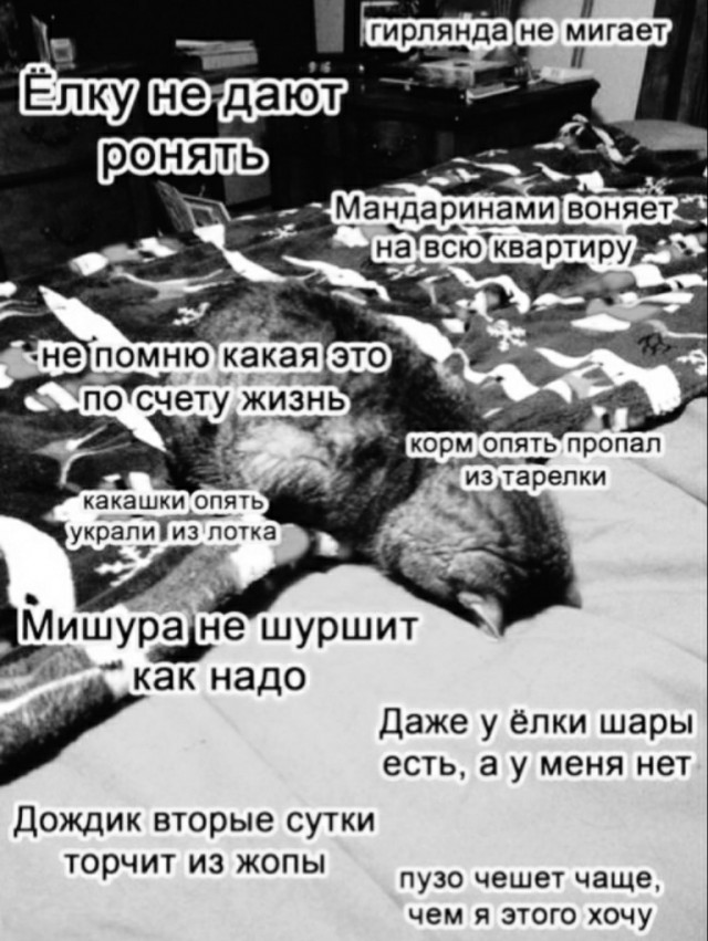 Так ли важно для мужчины , чтобы жена взяла его фамилию?