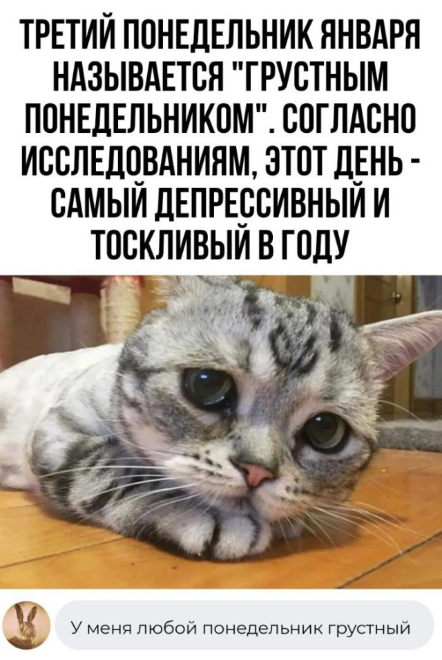 Картинки и мемы для настроения - 119