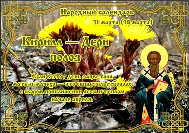 Победная поступь идиотизма по планете – том 11