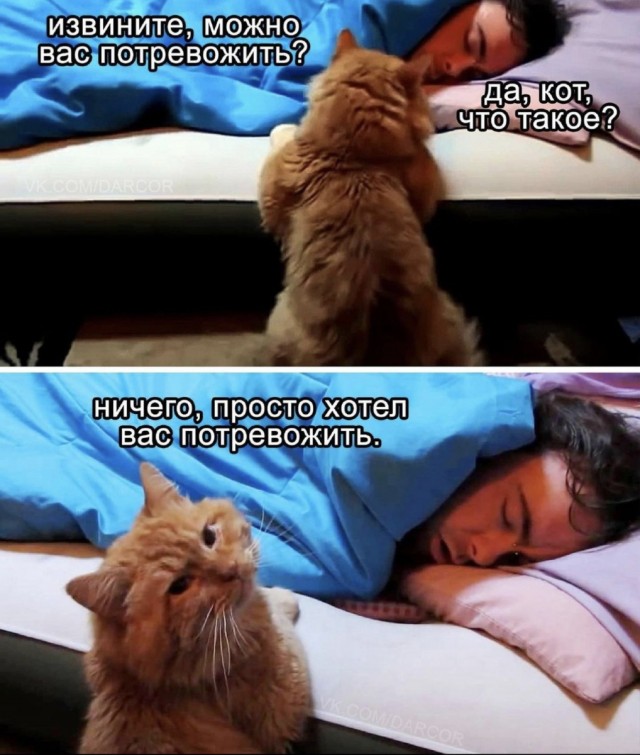 Картинки с надписями 09.04.23