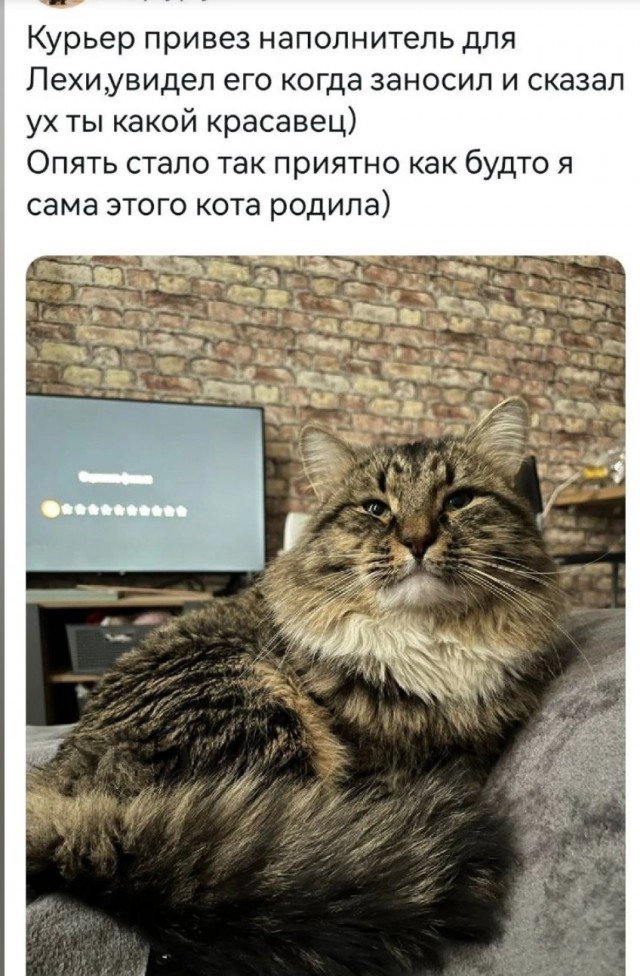Жить ли с РСП?