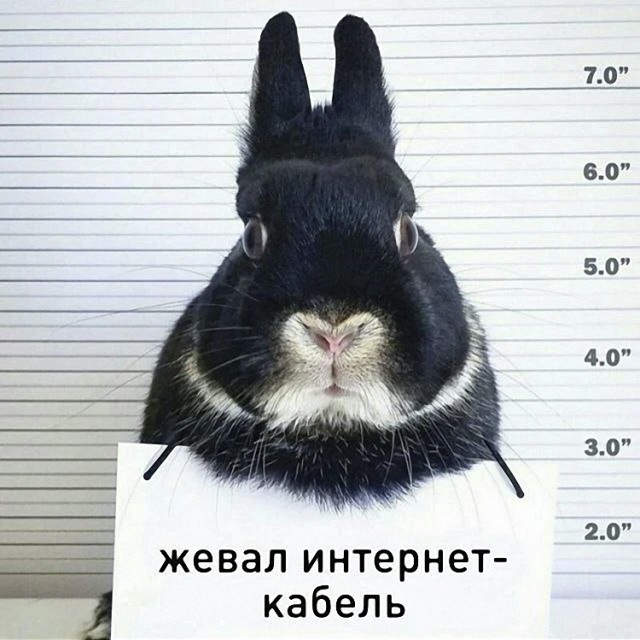 Немного картинок и прочей хреноты Vol. 24