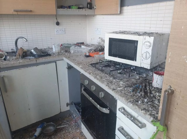 Забыли закрыть дверь: голуби уничтожили лондонскую квартиру