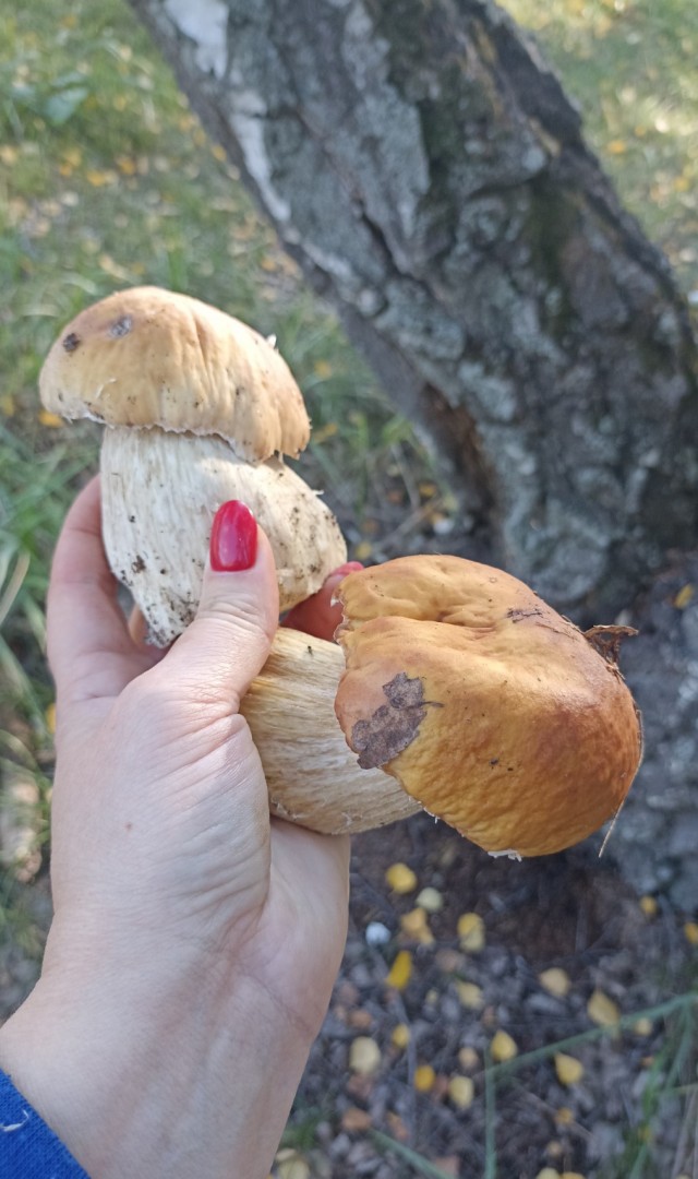 Природа. Урал
