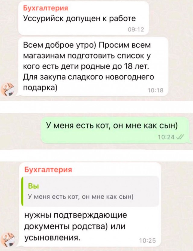 Кошатники, берем на заметку