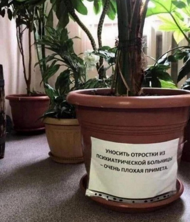 Всего понемногу. От 08.12.23