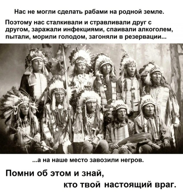 США заблокировали в СБ ООН резолюцию ОАЭ, требующую немедленного прекращения огня в Газе и освобождения всех заложников