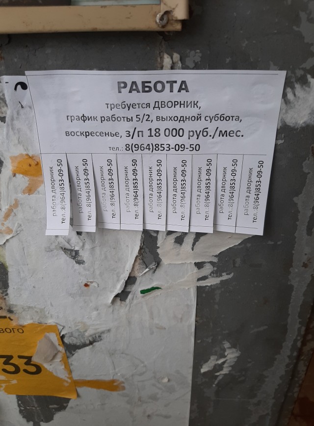О феномене работающей бедности и реакции общества на проблему