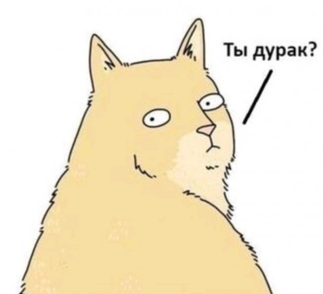 Сегодня во всех мессенджерах