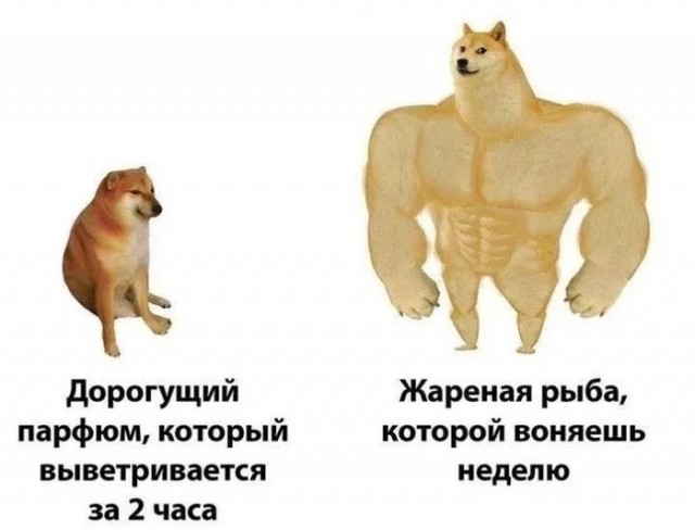 Так себе картинки 21.04.24