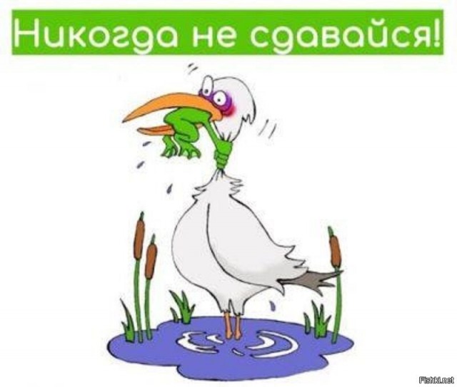 Беда не приходит одна