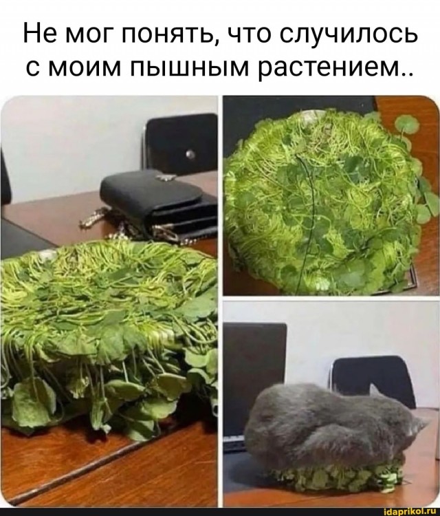 Завалялось тут случайно немного забавных картинок