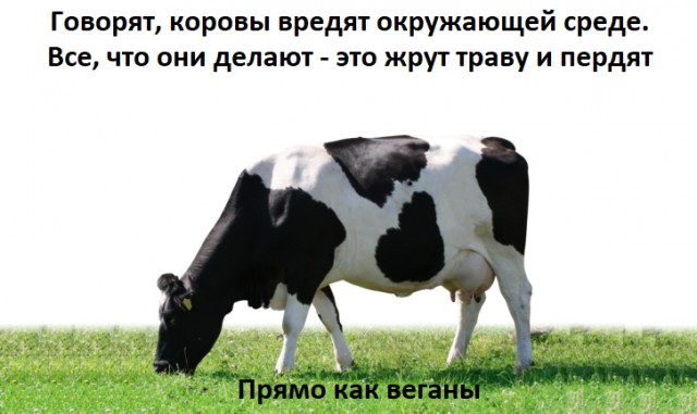 Никакие картинки и тексты