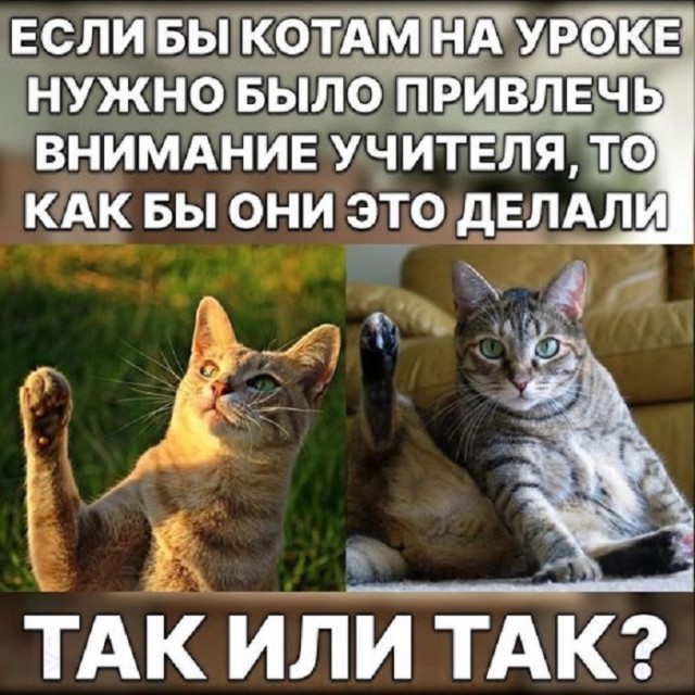 Картинки разные с надписями и без