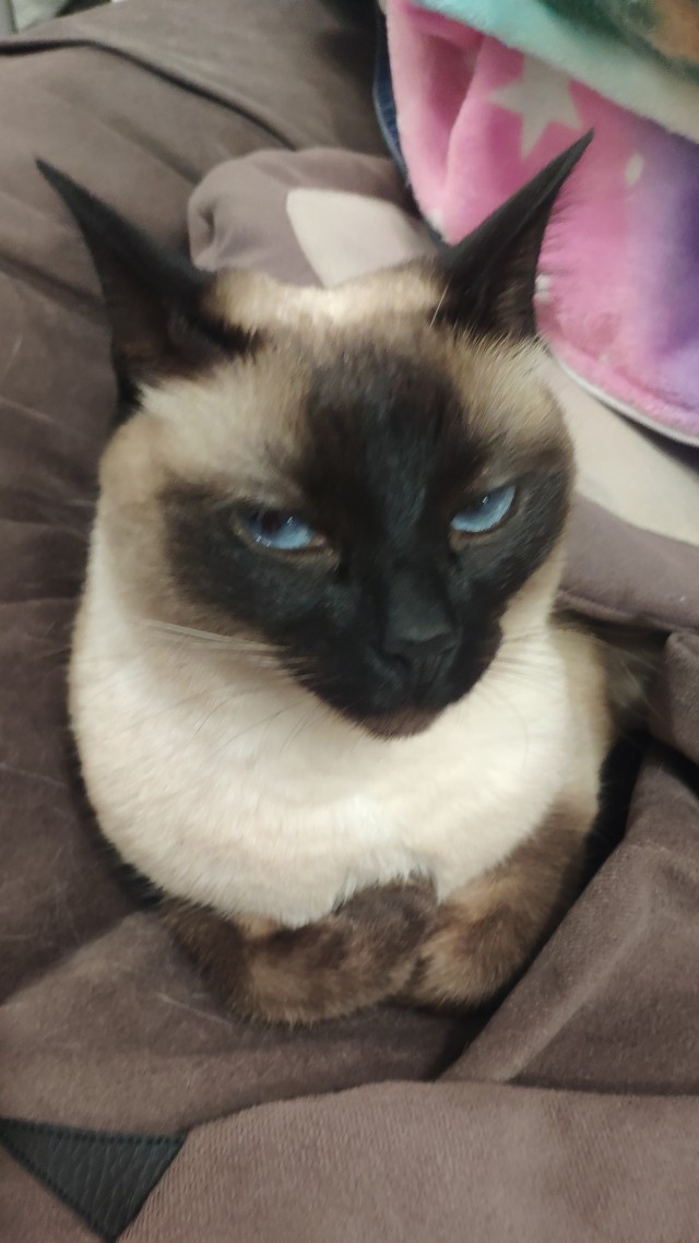 Блин. На меня пацан обиделся!