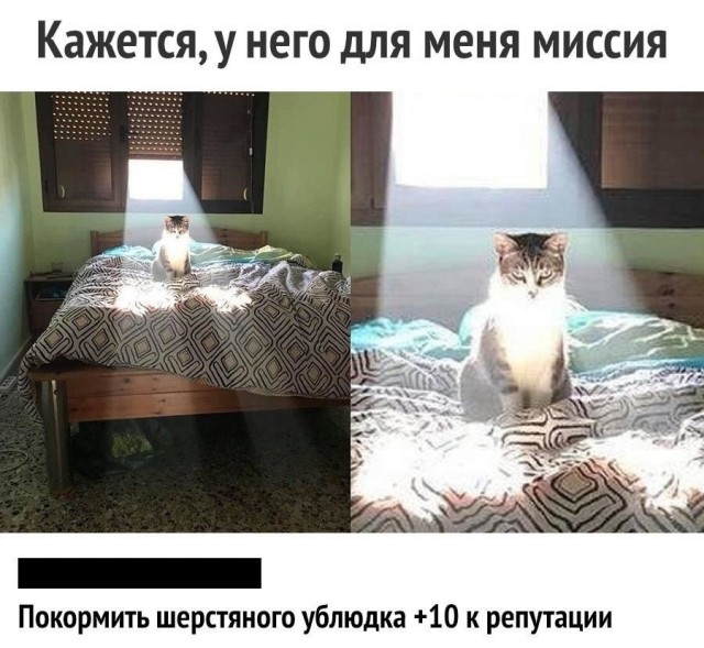 Так себе картинки 29.04.25