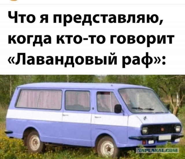 «Это не 600, не 900, это ТЫЩА ДВЕСТИ!»