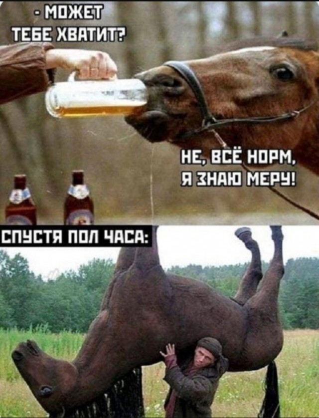 Хорошо, когда отдохнул на природе