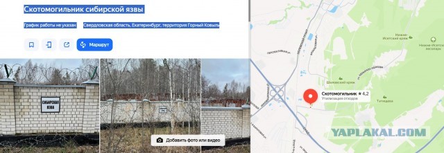 Задержан ученый из Екатеринбурга. Он угрожал рассказать о могиле с сибирской язвой