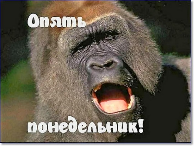 Картинки для деградации 9 (разной степени свежести)