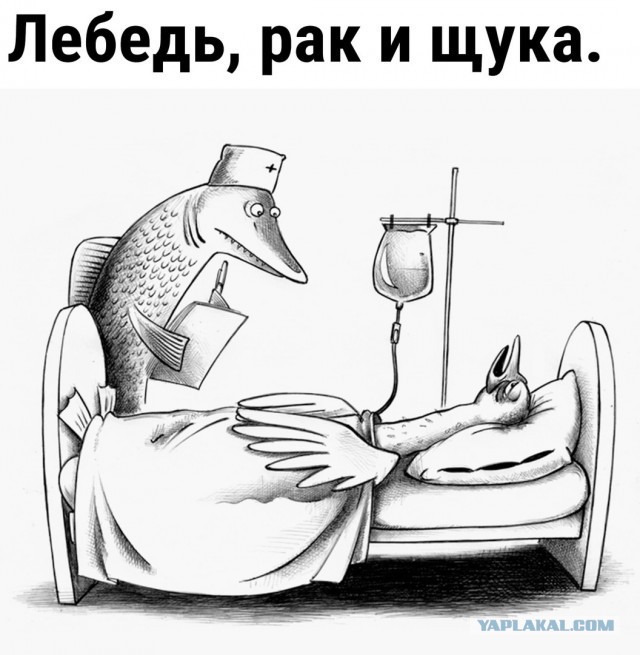 Нуштош 17.10.2024