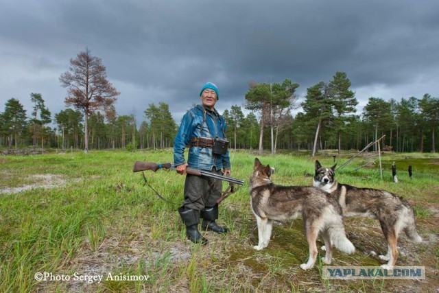Красота! Лето на Ямале. Фото