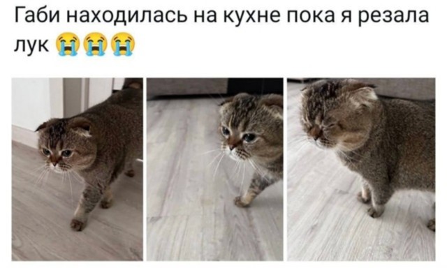 Нуштош 15.08.2025. В доме горит свет (s4e7)