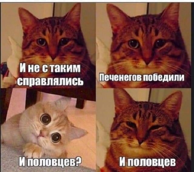 Павел Дуров в диалоге с Илоном Маском в соцсети X